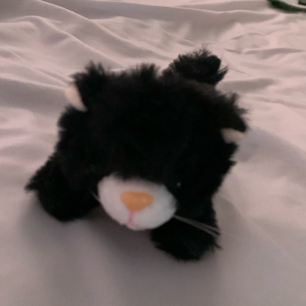 new kitten plush